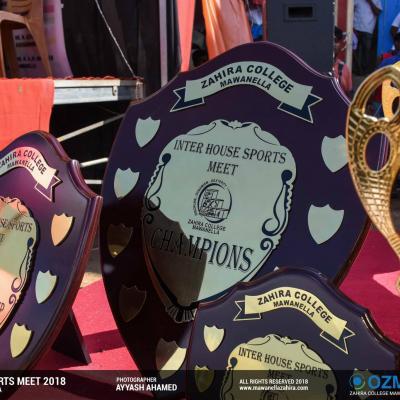 28235138 1940801169264605 6184102809925213496 O Thumb