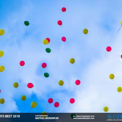 28336577 1940778202600235 4460500982636123720 O Thumb